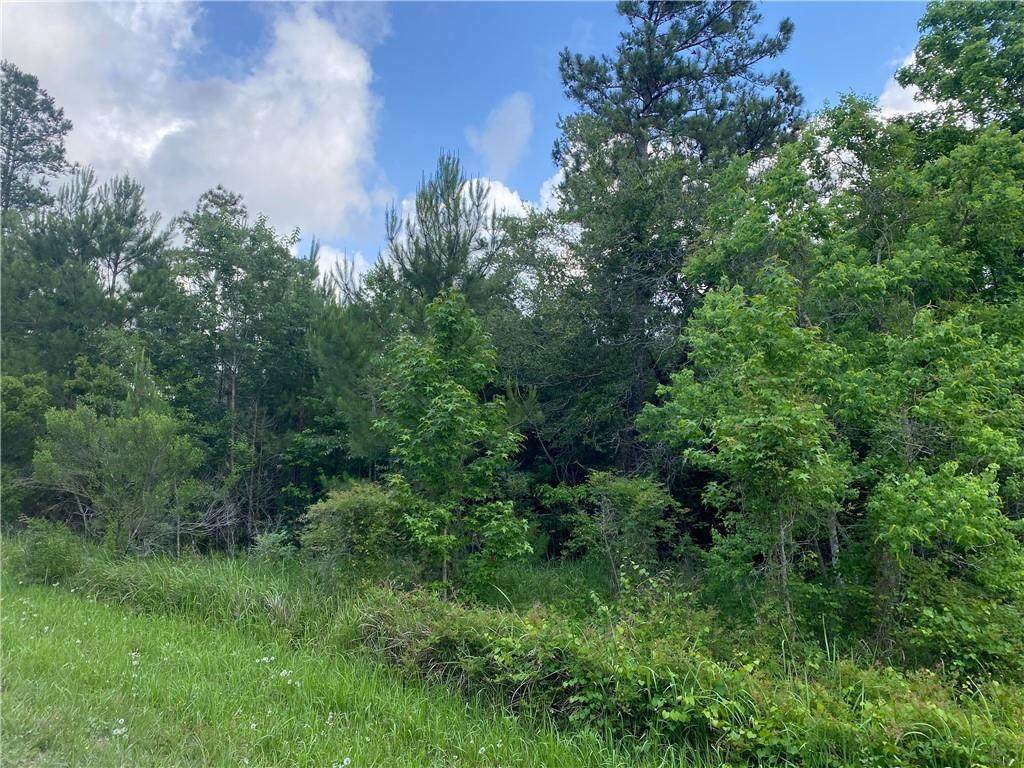 11400 Henderson Camp Road - Photo 1