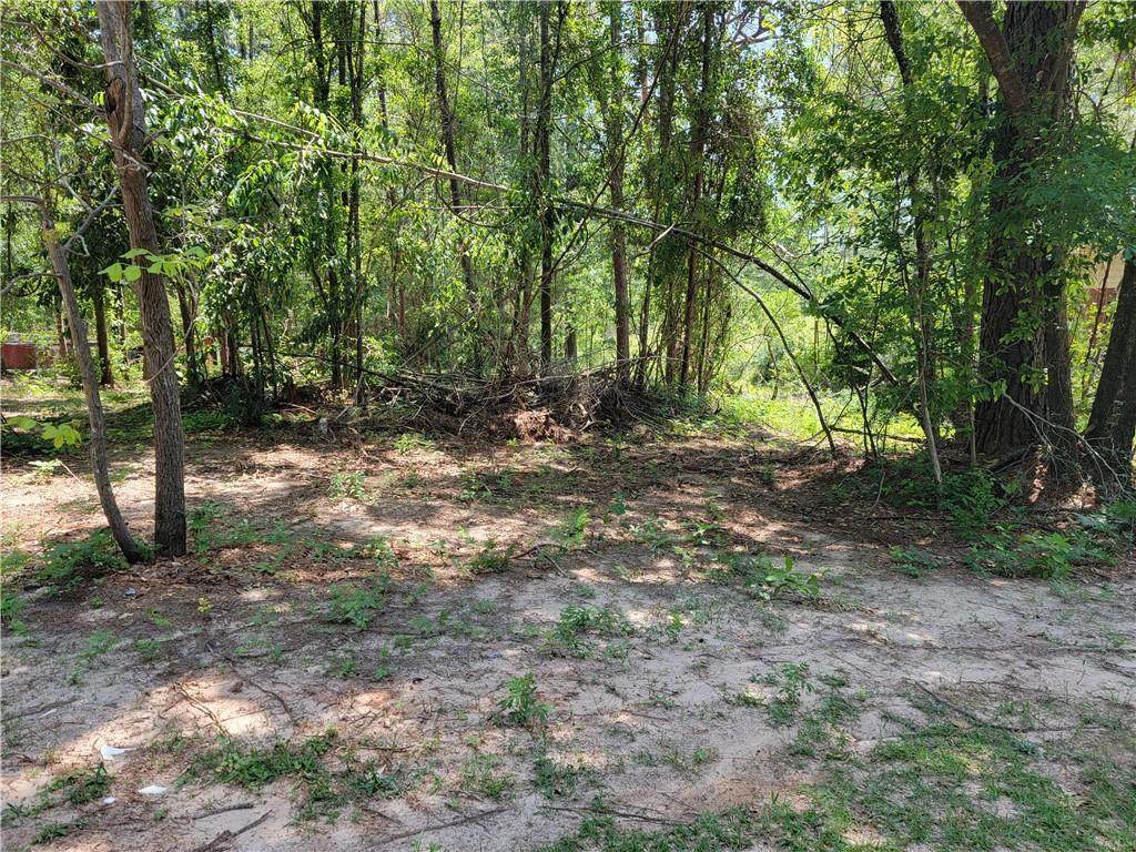 10755 Bayleaf Drive - Photo 1