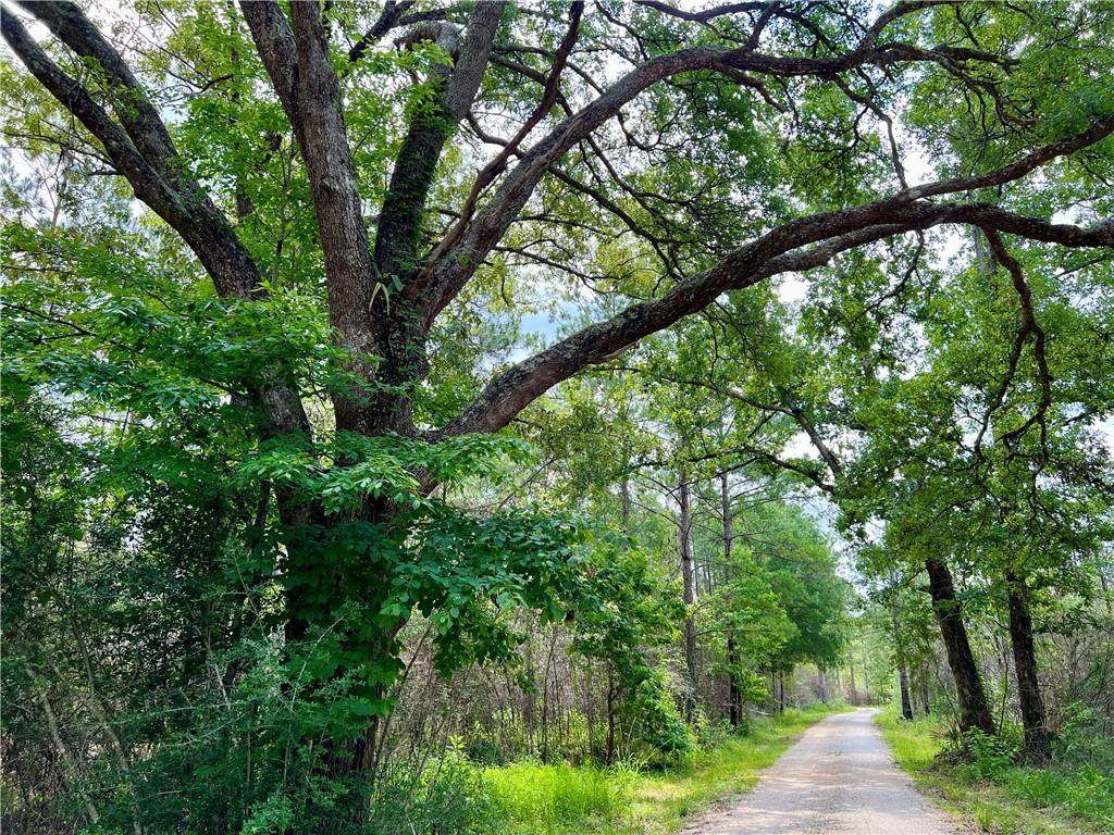 37640 State Highway 225 - Photo 1