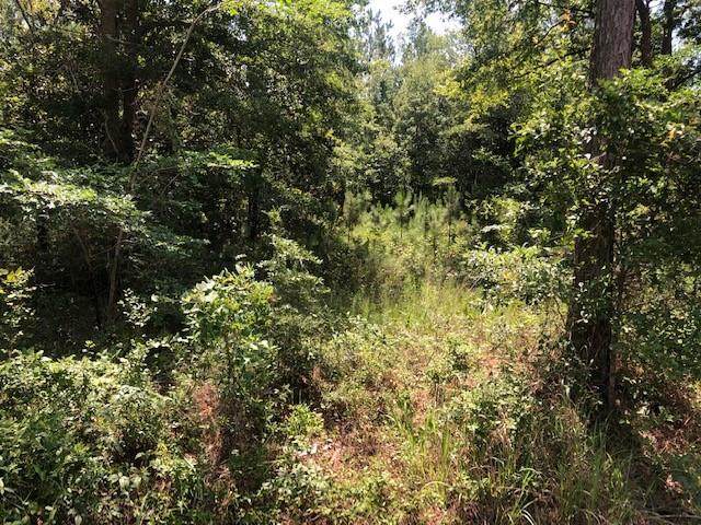 0 Dauphin Island Parkway - Photo 1