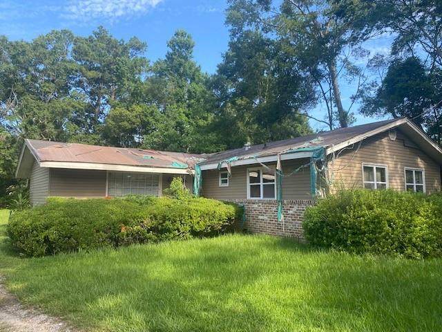 3308 Alba Club Road - Photo 1