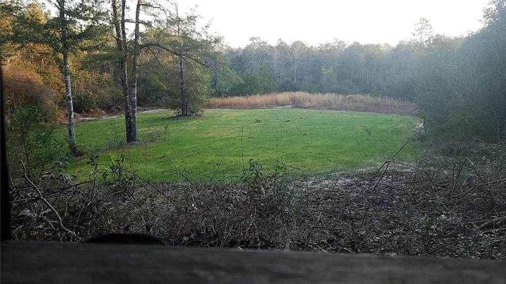 0 Private Road - Photo 1