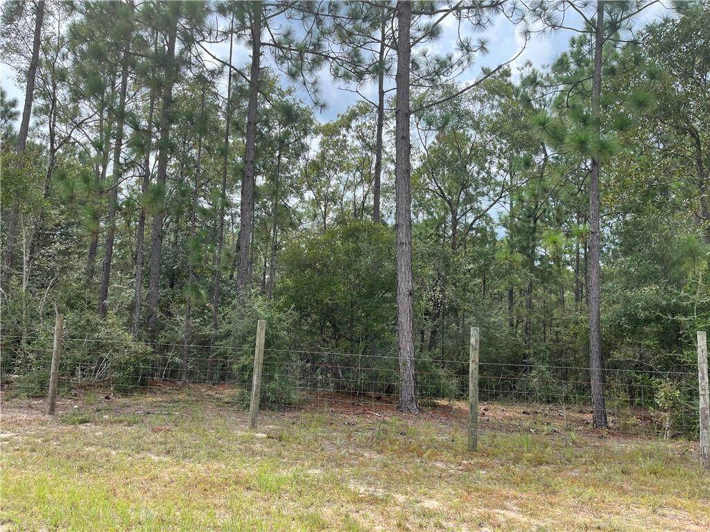 0 Hunters Trail - Photo 1