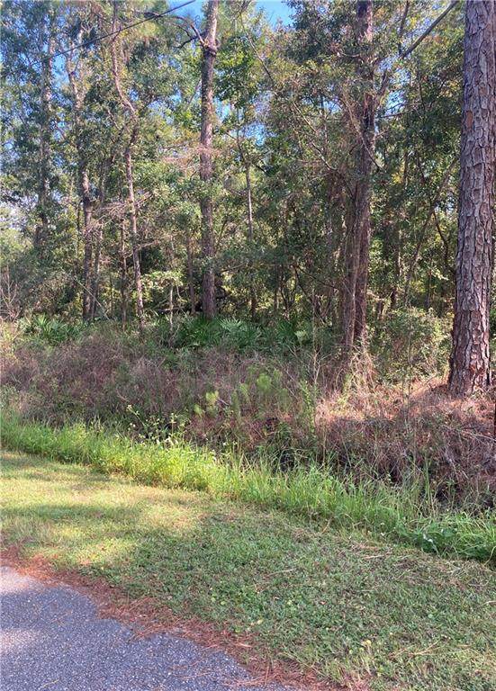 713 Indian Place - Photo 1