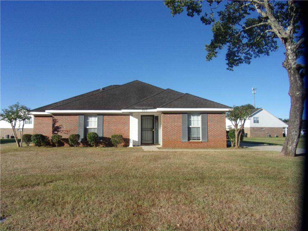 803 Marsha S Ratchford Street - Photo 1