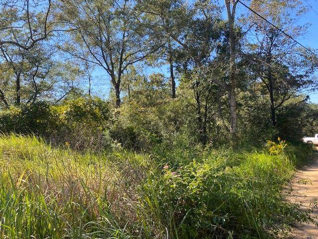 0 Timber Woods Court - Photo 1
