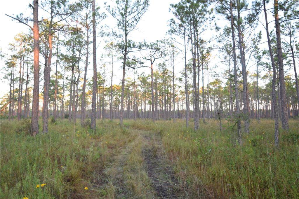 0 Heron Bay Loop Road - Photo 1