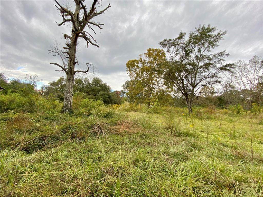 407 Dead Lake Road - Photo 1