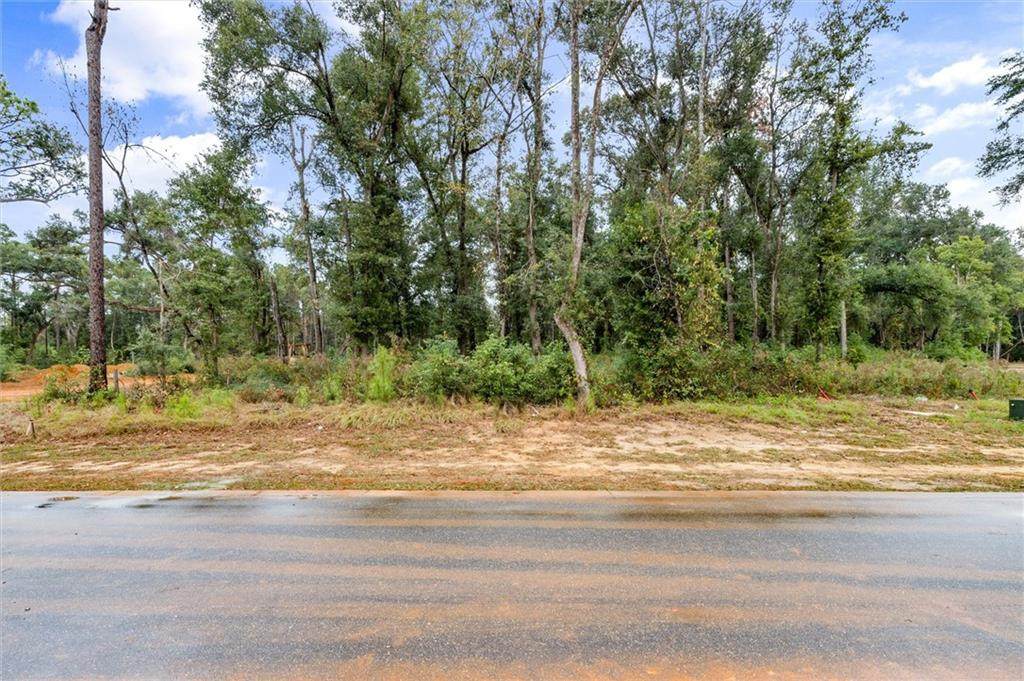 0 Petiole Drive - Photo 1