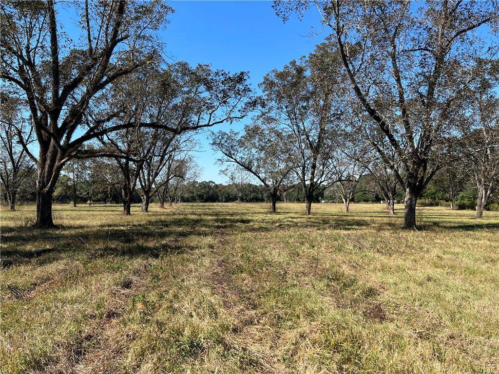0 Highway 45 - Photo 1