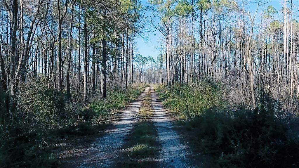 0 Private Road - Photo 1