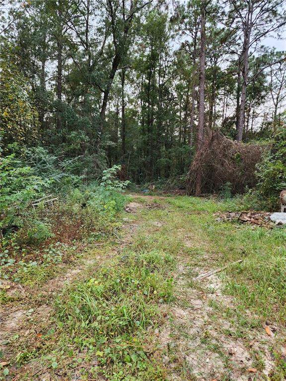 0 Raintree Road - Photo 1