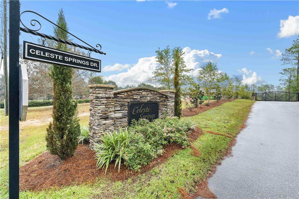 0 Celeste Springs Drive - Photo 1