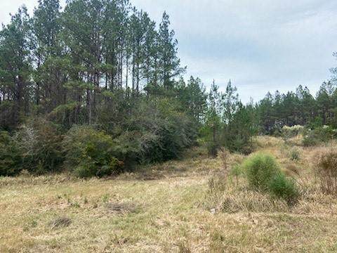 0 Turnerville Farms Court - Photo 1