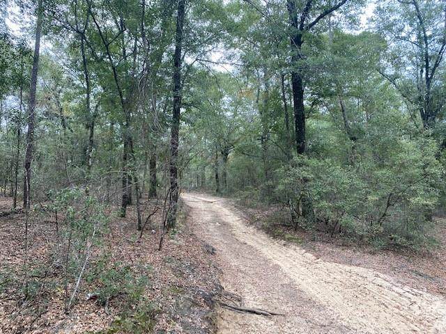 0 Beaver Pond Trail - Photo 1