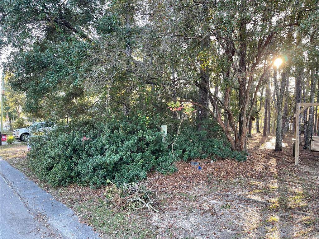 1662 Spanish Cove Drive - Photo 1