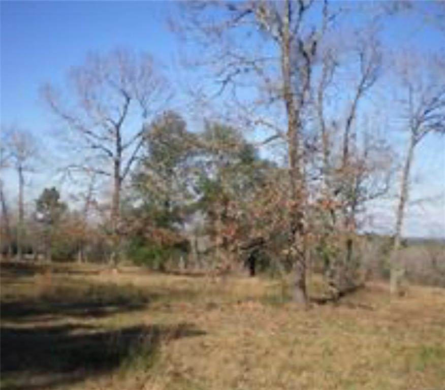 0 Salco Road - Photo 1