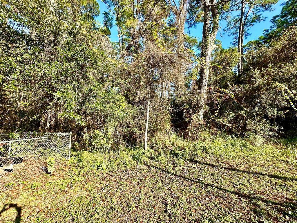 708 Ingraham Place - Photo 1