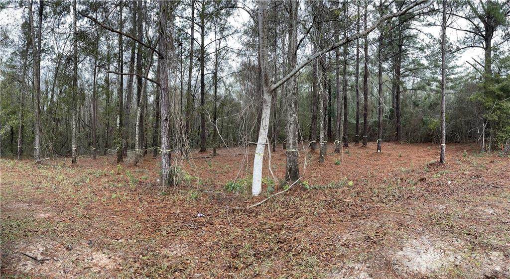 0 Sweetbriar Lane - Photo 1