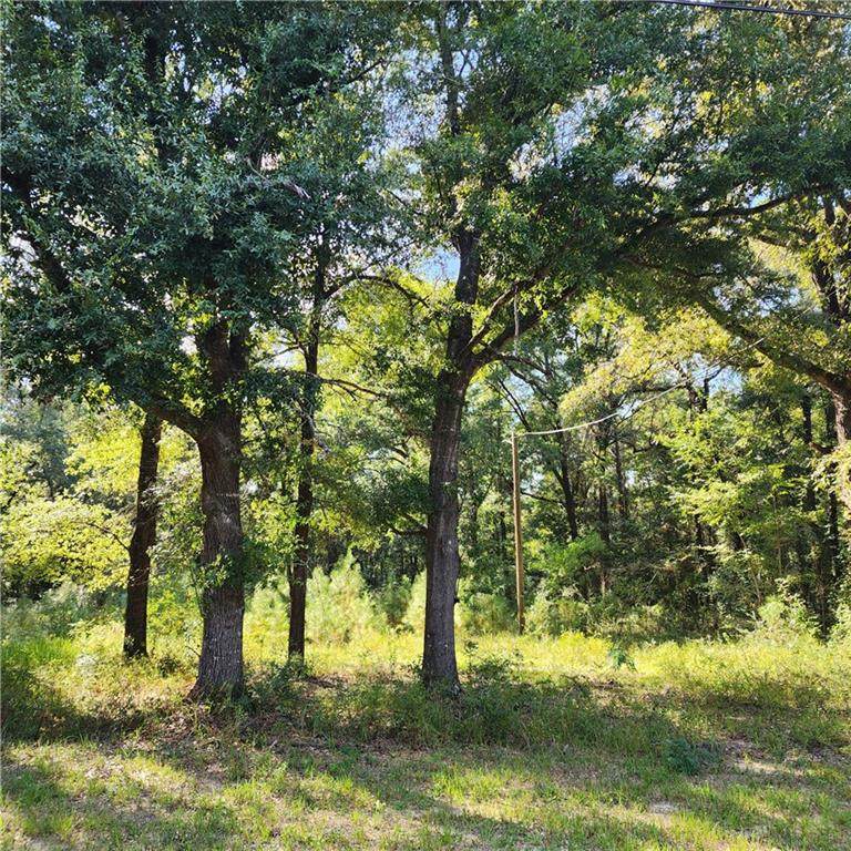5507 Henry Road - Photo 1