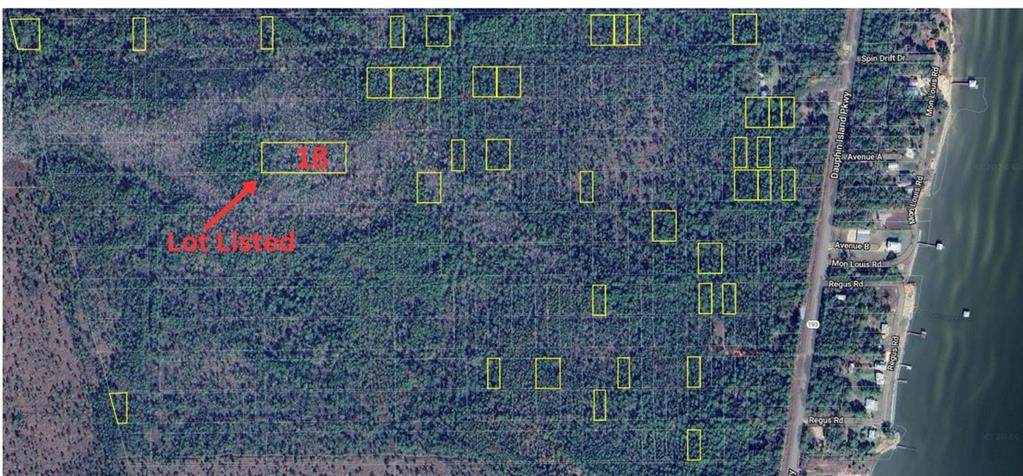 0 Dauphin Island Parkway - Photo 1