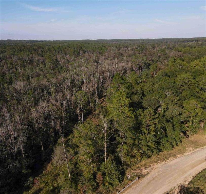 0 Kelly Trail - Photo 1