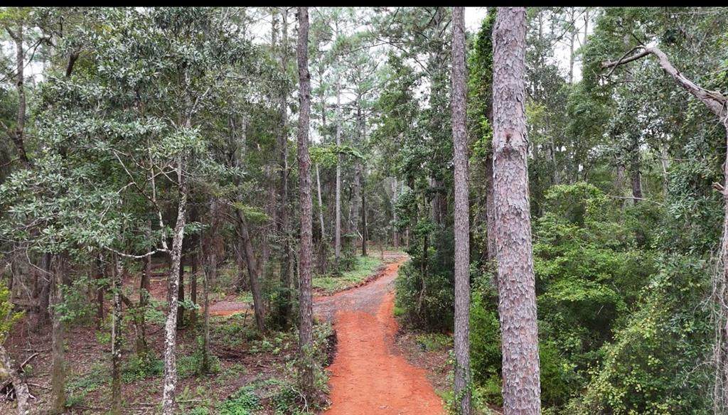 12234 Bay Street - Photo 1