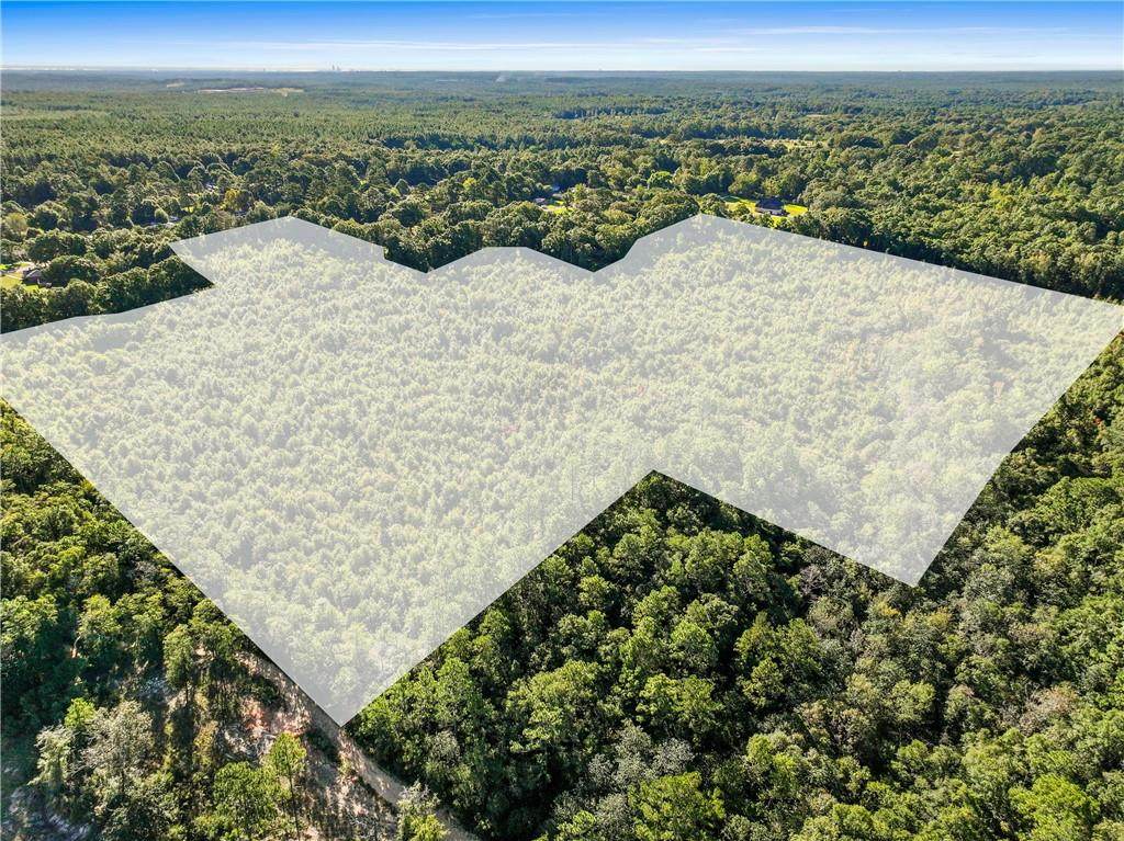 6810 William Way - Photo 1