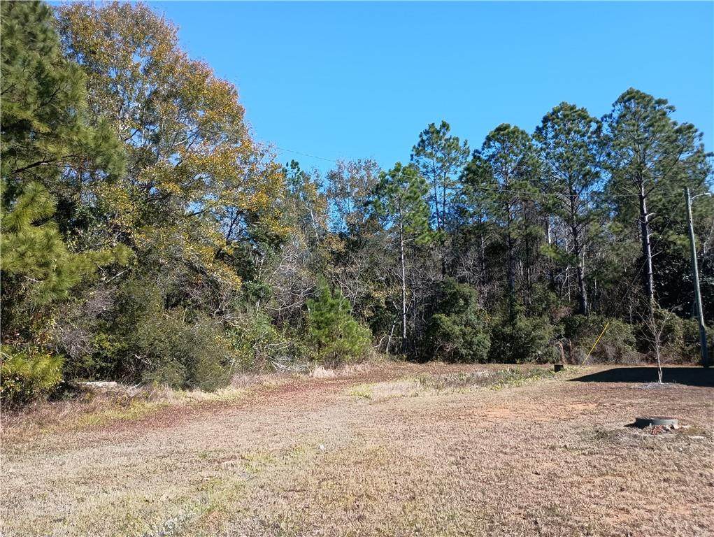 0 Bryant Drive - Photo 1