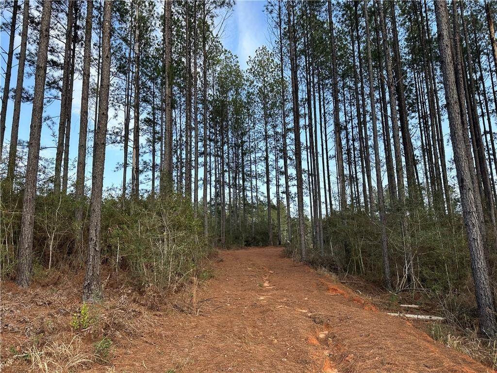 0 Turnerville Farms Drive - Photo 1