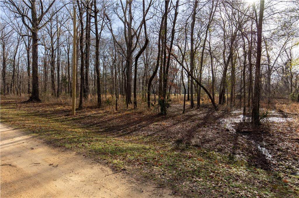 0 River Oaks Landing Circle - Photo 1