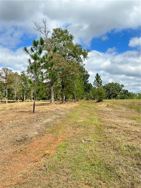 0 Hampton Road - Photo 1