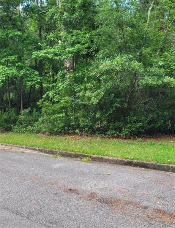 0 Dunnaway Drive - Photo 1