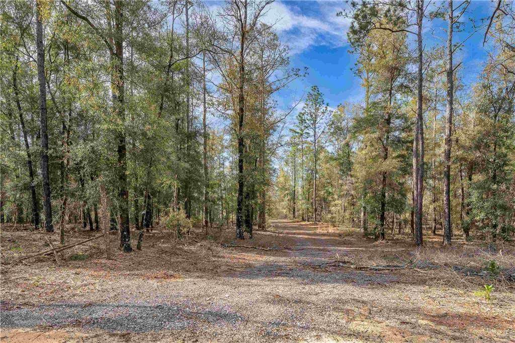 8190 Dixon Road - Photo 1