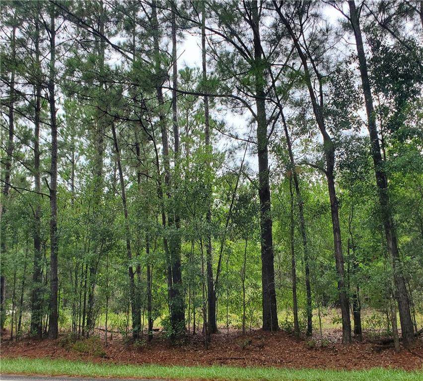 5501 Mccrary Road - Photo 1