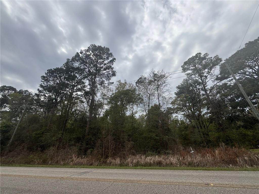 0 Dauphin Island Parkway - Photo 1