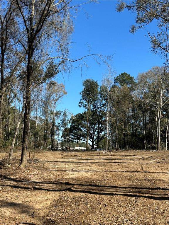 0 Creel Road - Photo 1