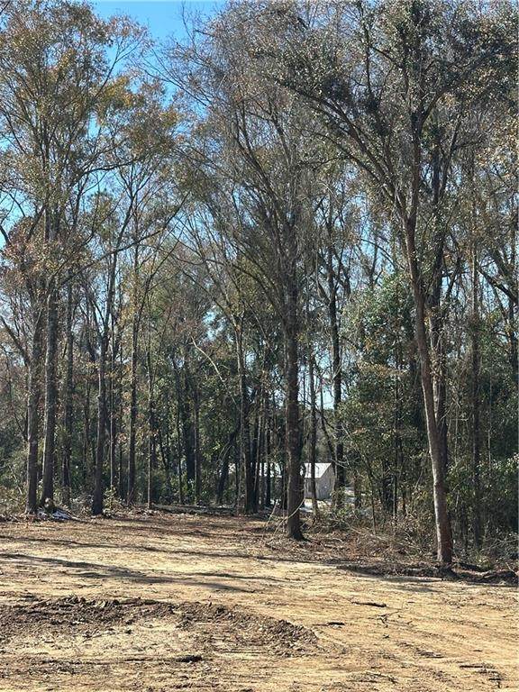 0 Creel Road - Photo 1