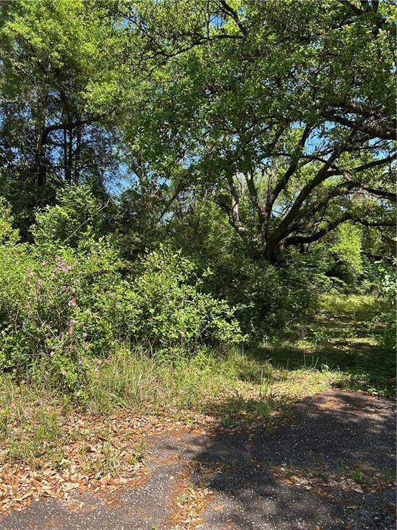 213 East Drive - Photo 1