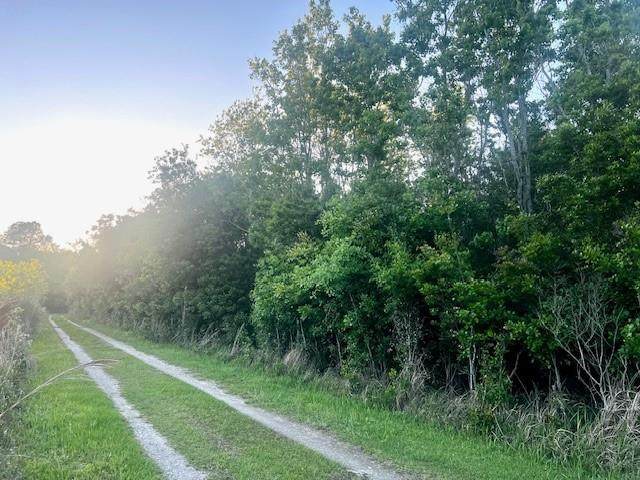 0 Bellingrath Road - Photo 1