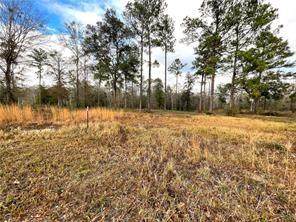 4604 Cypress Park Drive - Photo 1