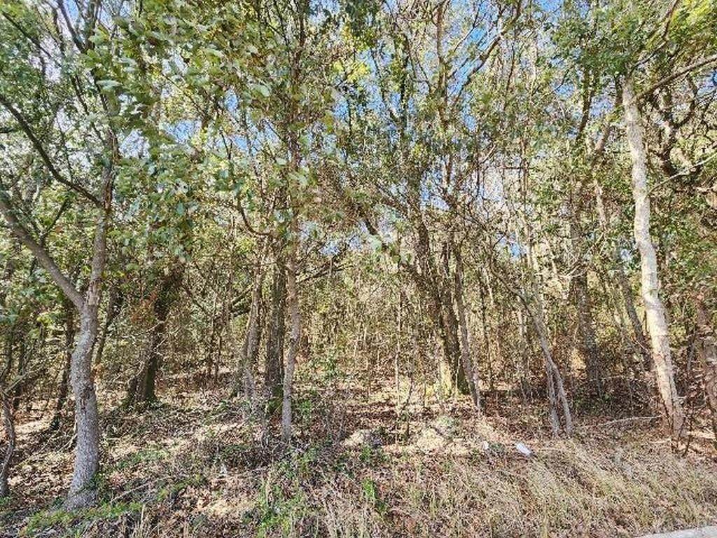 0 Hurricane Boulevard - Photo 1