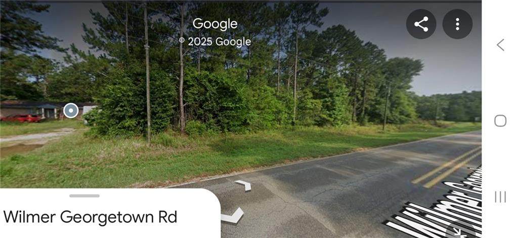 0 Wilmer Georgetown Road - Photo 1