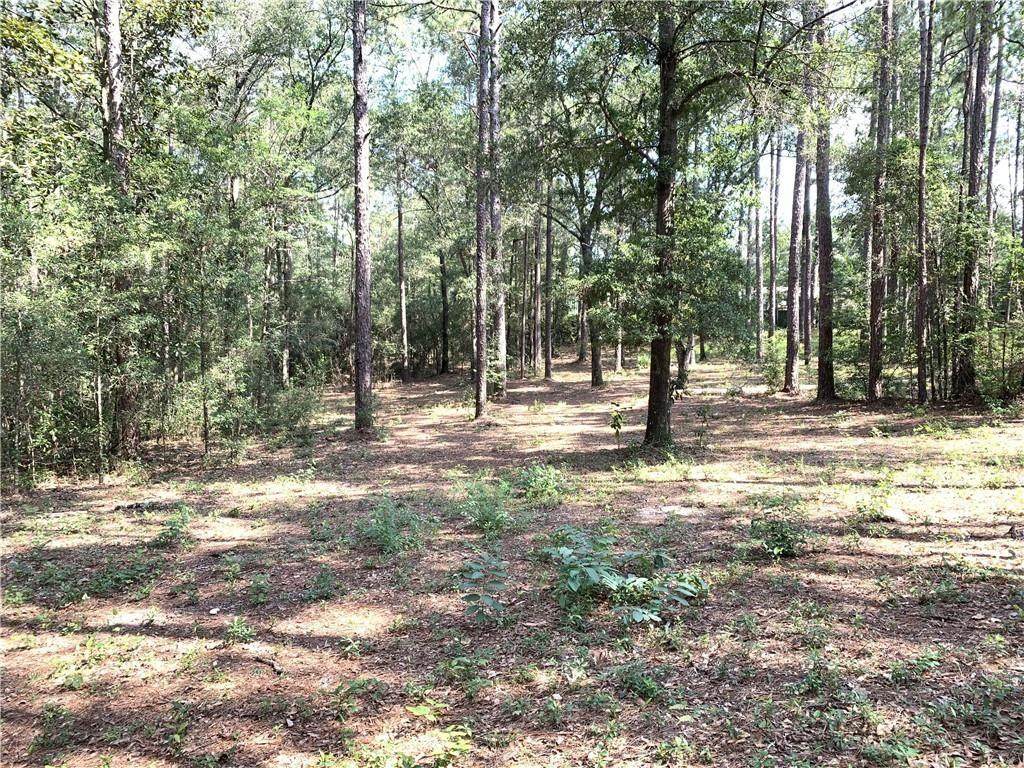 0 Leroy Stevens Road - Photo 1
