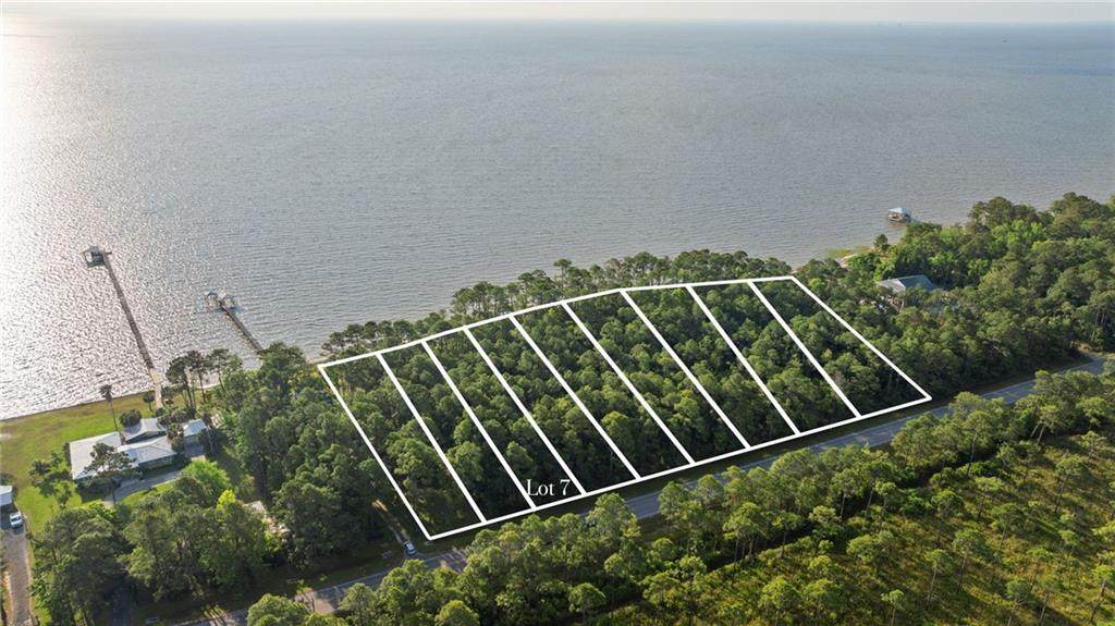 0 Dauphin Island Parkway - Photo 1