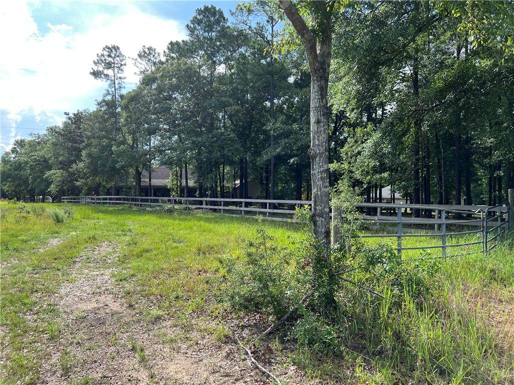 2543 Firetower Road - Photo 1