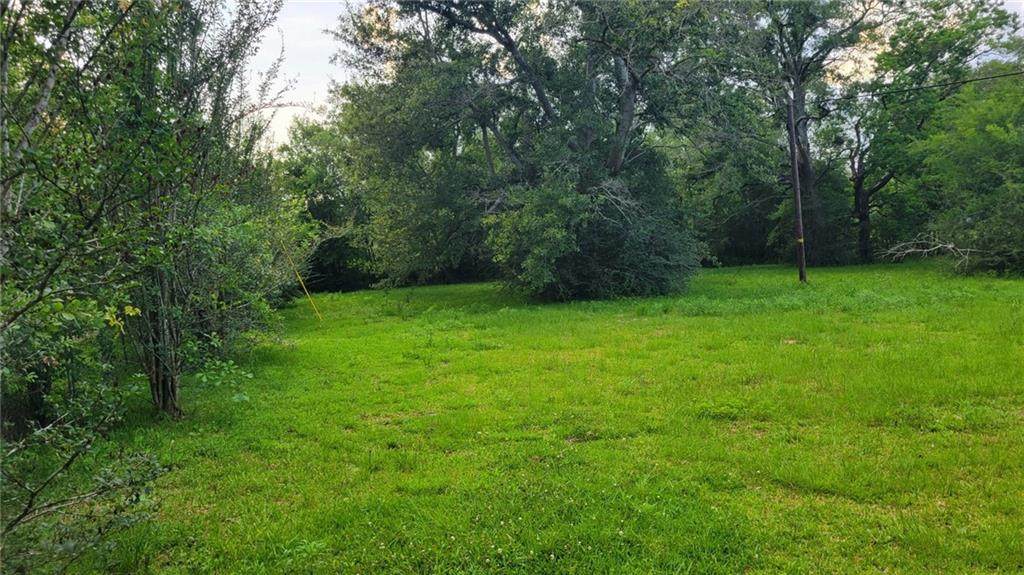 0 Baldwin Drive - Photo 1