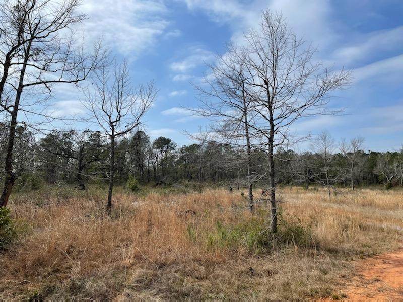 10765 Mary Ann Beach Road - Photo 1