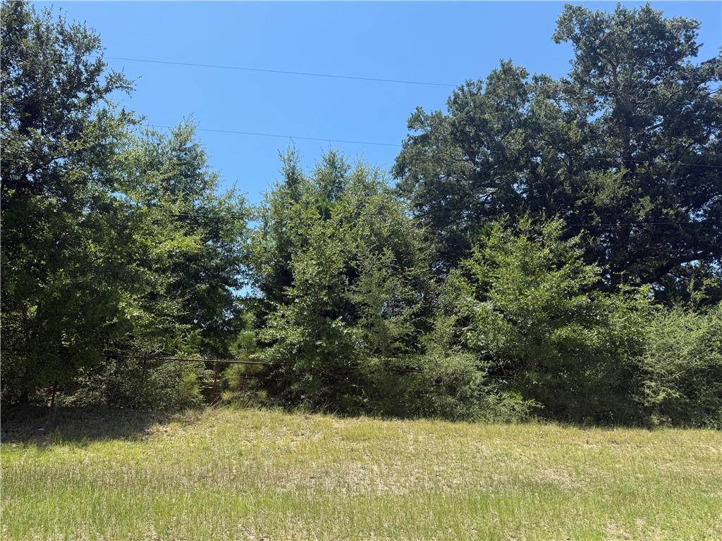 12645 Maddox Road - Photo 1