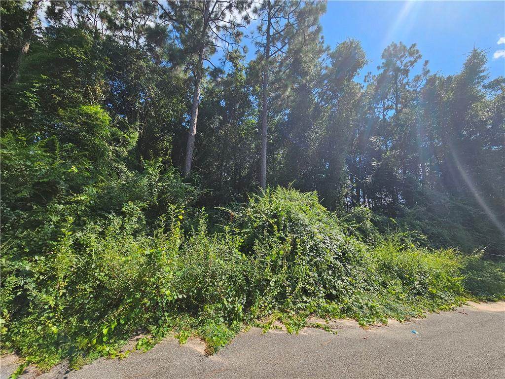 0 Ashley Drive - Photo 1